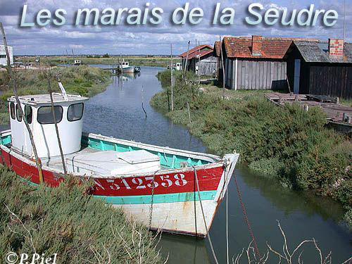 BIENVENUE DANS LES MARAIS DE LA SEUDRE !